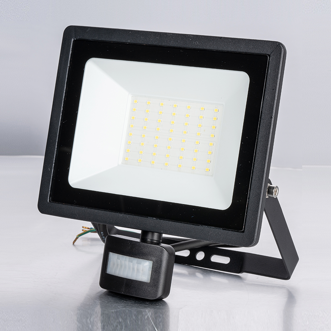 10W 20W 30W 50W 100W LED Floodlight with PIR Motion Sensor(PS-FL-LED082SS-100W) 